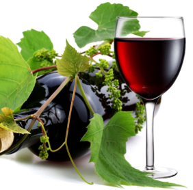 liste telemarketing vini prodotti alimentari